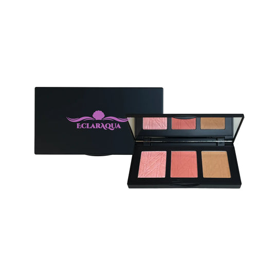 Pro Cheek Palette.png